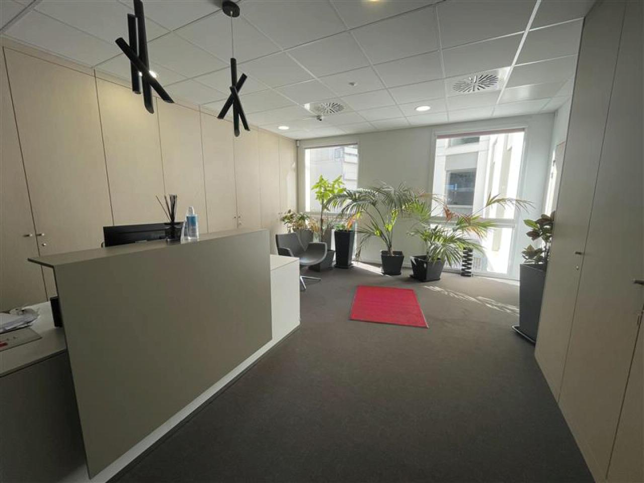 Bureau Castelnau-le-Lez 579m² Vente bureau Castelnau-le-Lez Hérault OVBUR2425913 12